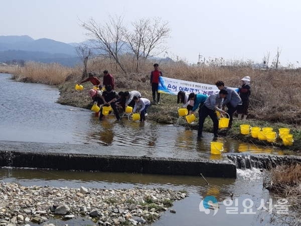 고성군, 은어 어린고기 4만마리 방류(영오천) © 고성군 제공