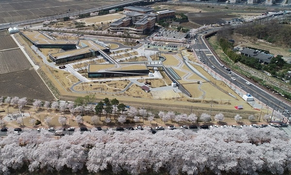 지난해 벚꽃이 만개한 한국원자력환경공단 전경.