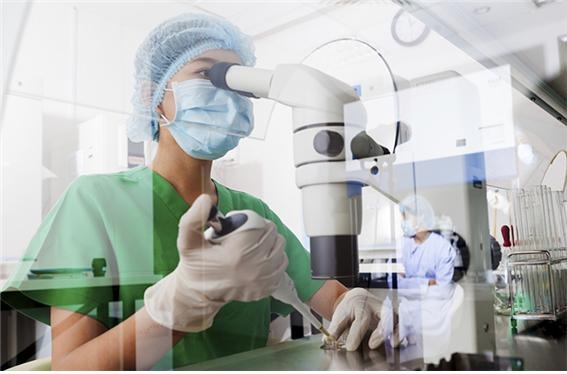 메디포스트, 첨단 바이오 줄기세포 배양 기술인 스멉셀 연구(사진제공=메디포스트)