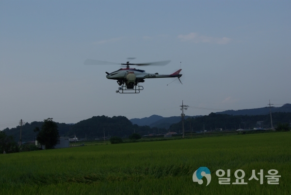 무인헬기 항공방제 © 함안군 제공
