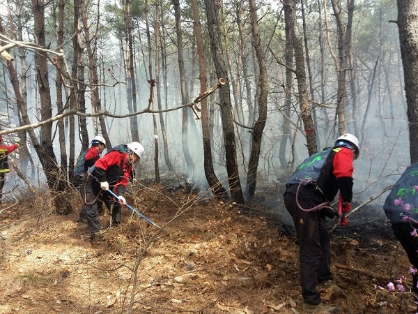 경주시 산불전문예방진화대원이 산불진화를 하고 있다.