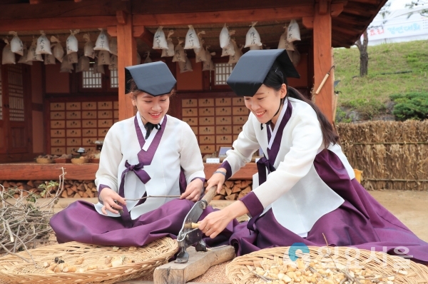 제18회 산청한방약초축제 산청한약방 약재썰기 체험 중인 관람객 © 산청군 제공