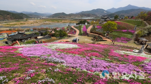 산청 생초 국제 조각공원 꽃잔디 축제 © 산청군 제공