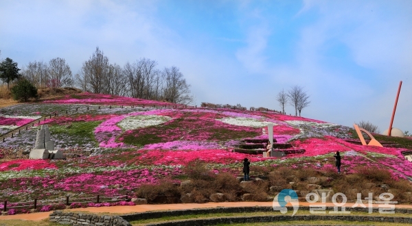 산청 생초 국제 조각공원 꽃잔디 축제 © 산청군 제공
