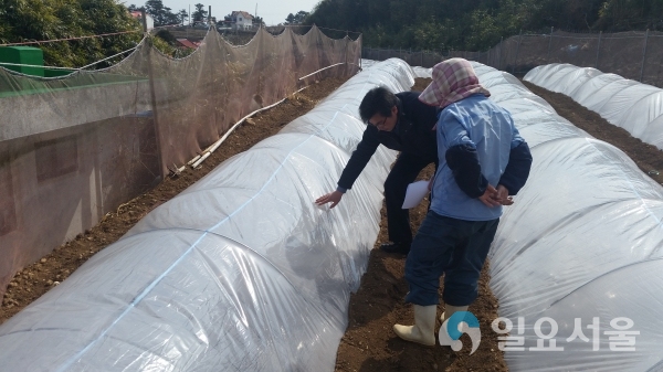 당면 영농현장 지원의 날 운영 © 통영시 제공