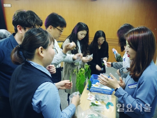 바이러스 진단키트 활용법과 시연을 시군 담당직원을 대상으로 진행하고 있다. © 경상남도 제공