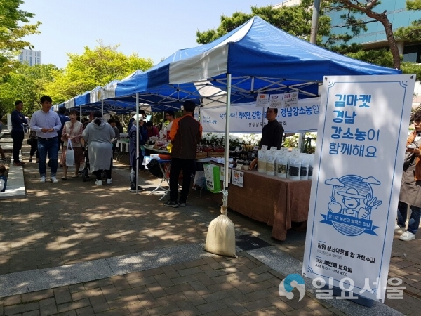 창원 성산아트홀 앞 가로수길에서 얄린 '경남강소농 프리마켓'     © 경상남도 제공