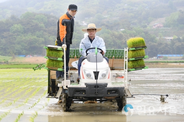 벼 조기재배단지 모내기 연시회 © 남해군 제공