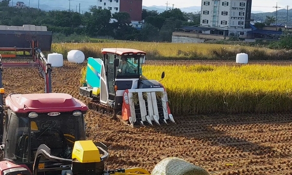 경주시가 논에 벼 이외 다른 작물 재배시 면적에 따라 100만원/ha 시비 추가지원한다.