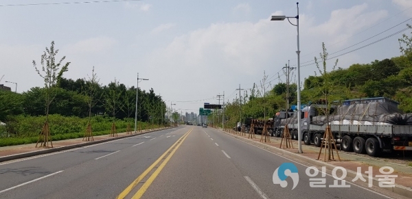 문산 진입 도로변 은행나무 가로수길 © 진주시 제공