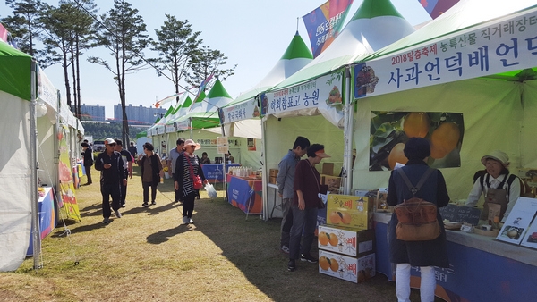 안동시가 지난 4월 aT 공모사업에 신청했으며, 1차 서면심사와 2차 PT 발표평가를 거쳐 한국농수산식품유통공사(aT)가 주관한‘로컬푸드 안정공급기반 구축지원 공모사업’에 최종 선정됐다.