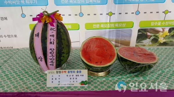 수박품평회     © 창원시 제공