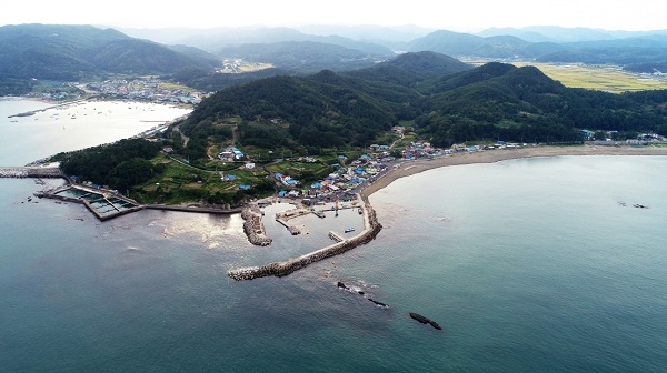 장기면 신창리 전경.