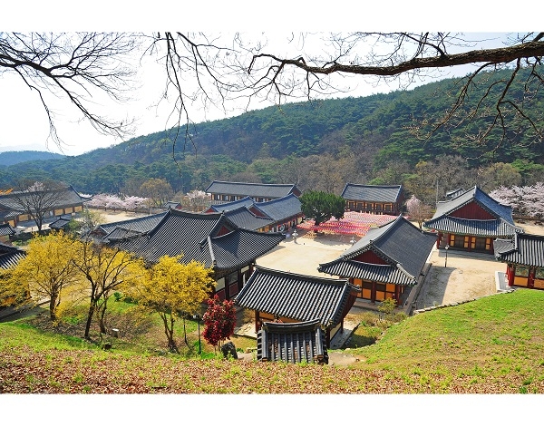 영천시 은해사 봄 전경.
