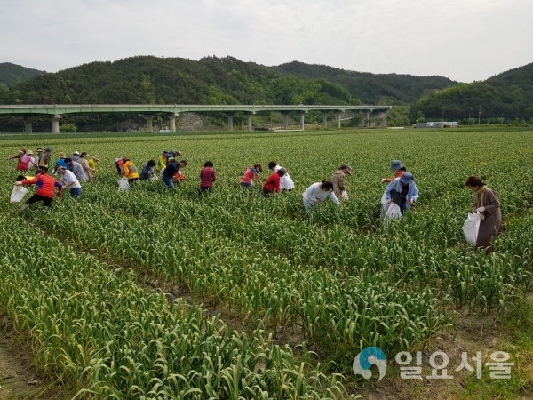 산청 한여농 도시소비자 초청 행사 © 산청군 제공