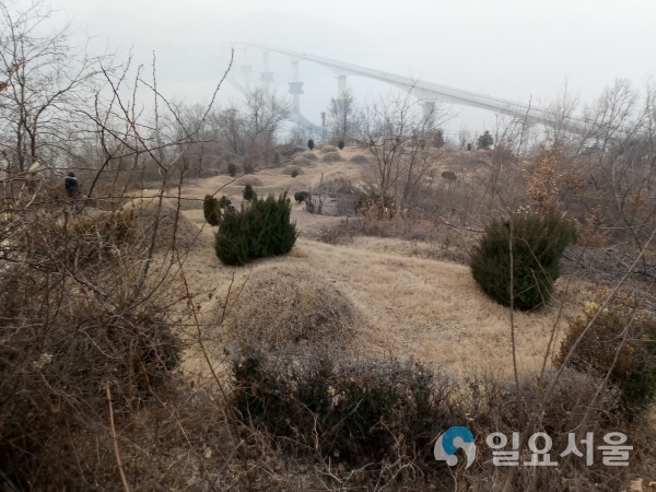 공설자연장지