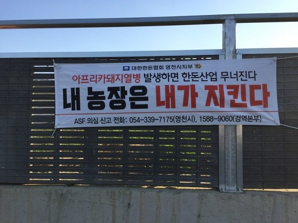 영천시가 차단방역에 총력을 다할 것을 다짐하는 현수막을 관내 전 양돈농가에 배부, 부착했다.