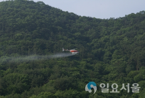 소나무 재선충병 항공방제 © 고성군 제공