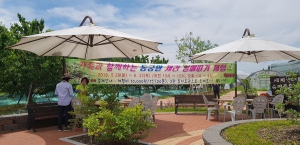 경주동궁원이 내달 22일까지 오전 10시∼12시, 오후 1시∼4시 사이에 숨바꼭질 정원 뒤편 체리 시험포장에서 체리열매 따기 체험을 실시한다.