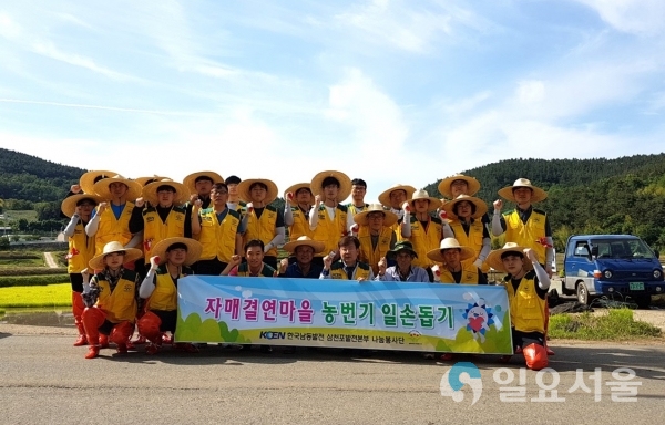 삼천포발전본부 나눔봉사단 30여명이 모판을 본답으로 옮기는 봉사활동을 펼쳤다. © 한국남동발전(주) 제공