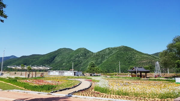 안동시가 31일 2017년 행정안전부 공모사업인 마을공동체 정원조성사업에 선정돼 4억 원의 예산을 확보해 길안면 천지리 마을공동체 정원에서 개장식을 개최한다.