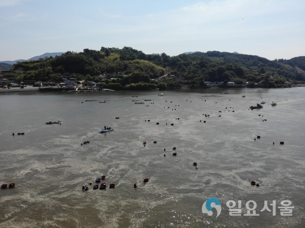 섬진강 재첩잡이 © 하동군 제공