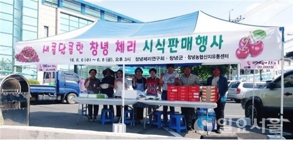 창녕체리판매전     © 창녕군 제공