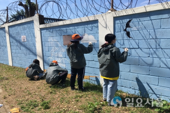 벽화봉사를 하고 있는 학생들. 사진=대구한의대
