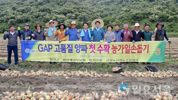 GAP인증농가 일손돕기     © 합천군 제공