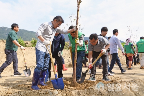 양산시민 건강숲을 조성하고 있는 김일권 양산시장 © 양산시 제공