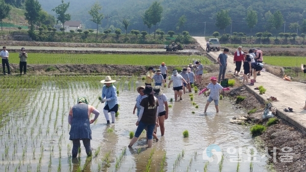 람사르습지도시 논생물프로그램 © 창녕군 제공