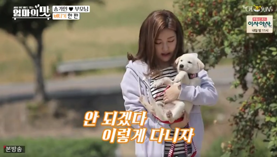 사진제공=진도군청