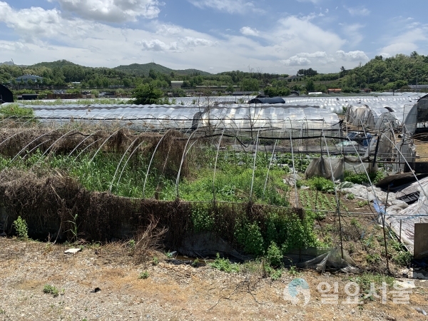 고른 도시발전.고양시 창릉지구 덕양구 동산동일대