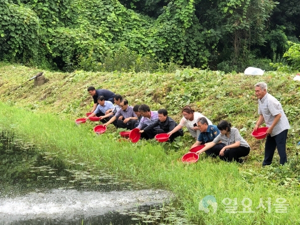 산청군 붕어·잉어 치어 25만미 방류 생초면 향양 소류지 © 산청군 제공