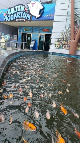 울진군이 휴가철을 맞아 울진엑스포공원 내 7월 27일부터 8월 4일까지 울진아쿠아리움을 방문하는 모든 고객에게 부채를 무료 제공하고 입장객 중 해양생물 관련 옷 또는 소지품을 소지하고 있을 경우 선착순으로 즉석 사진촬영을 하며 공원 내 물놀이장 이용고객은 아쿠아리움 관람료 30%할인을 받을 수 있다.