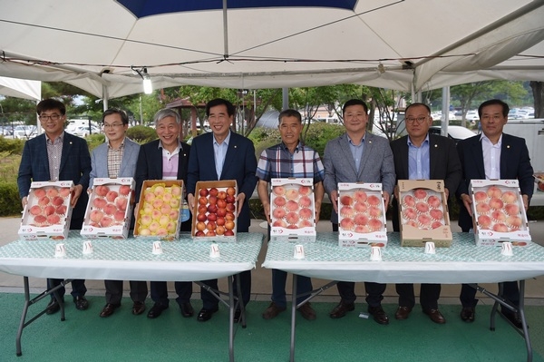 지난해 도도데이 행사.