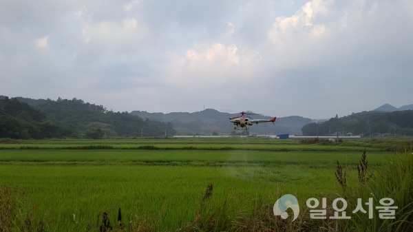 무인헬기 항공방제     © 사천시 제공