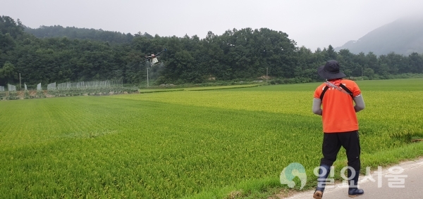 20일부터 21일까지 2일간 드론을 활용한 벼 병해충 공동방제 © 거창군 제공