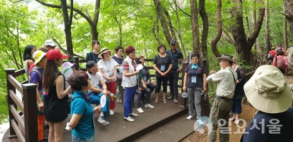 산청군 관광상품 개발 2차 팸투어 대원사계곡길 숲해설 프로그램 © 산청군 제공