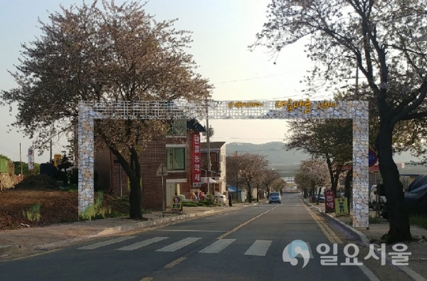대룡시장 추억의 골목길 정비
