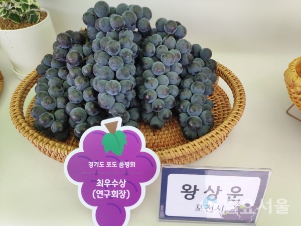 포천 포도, 경기도 포도품평회 최우수상, 특별상 수상