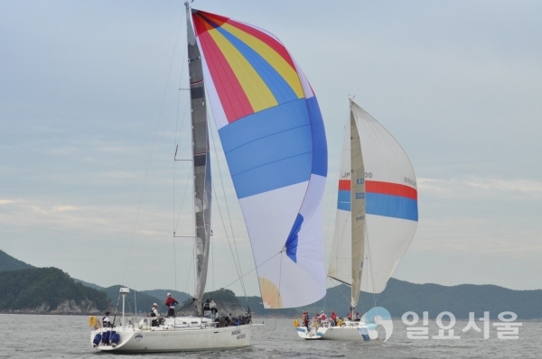 통영시 도남항·매물도와 죽림만 일원에서 ‘제7회 경상남도지사배 전국요트대회’를 개최한다. © 통영시 제공