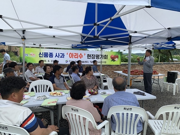 영천시가 지난 27일 화남면 사과원에서 농업인 및 관계자 50여명이 모인 가운데, 국산 신품종 ‘아리수’ 사과의 현장 평가회 및 시식회를 가졌다.
