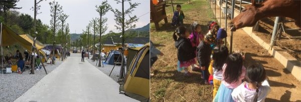강화산들애캠핑수영장