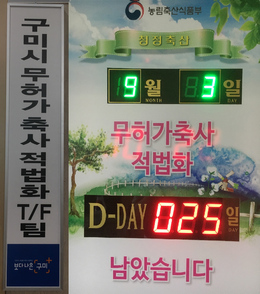 구미시가 현재 적법화 진행중인 농가에 대해 TF팀 합동 현장점검 상담을 통해 실제 적법화가 최대한 이뤄지도록 행정지원에 박차를 가하고 있다.