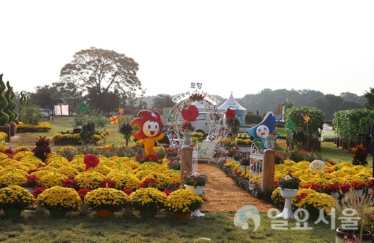 포항시가 26일 경주 첨성대 동부사적지 일원 ‘황금정원 나들이(경주시 주관)’ 행사에 참여해 ‘포항시 홍보 포토존’을 운영한다.