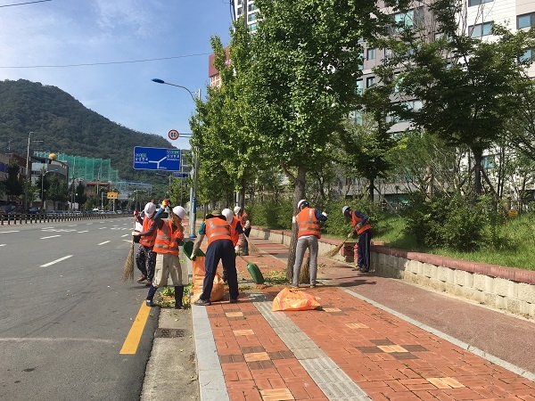 경산시가 27일 은행나무 열매 악취로 인한 민원을 줄이고자 시민 불편이 예상되는 주요 도로변을 우선으로 은행나무 열매 채취 작업에 나섰다.