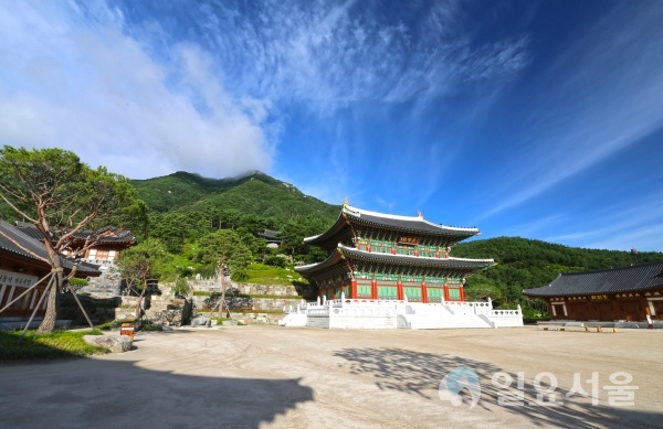 산청 동의보감촌 동의전 왕산 필봉산 전경  © 산청군 제공