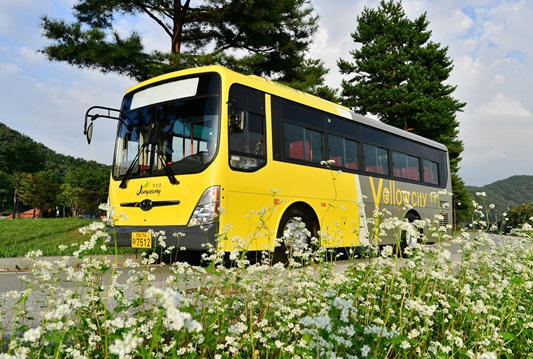 옐로우시티 장성 이미지로 디자인 된 농촌버스