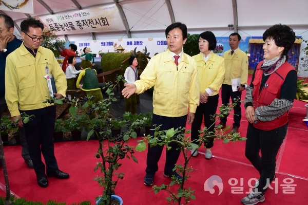 조규일 진주시장이 4일 오전 11시 30분 진주종합경기장 일원에서 오는 6일부터 열리는 '2019진주국제농식품박람회' 막바지 현장 점검을 하고 있다. @ 진주시 제공